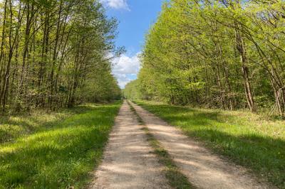 Soirée en forêt de Tardonne