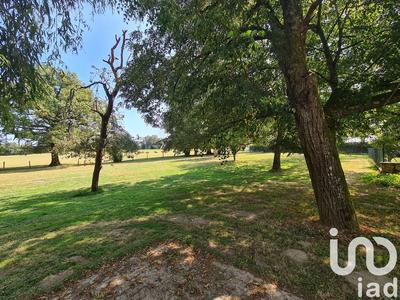 Maison - 228 m² - 5 pièces