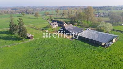 Maison de domaine équestre - 356 m² - 13 pièces