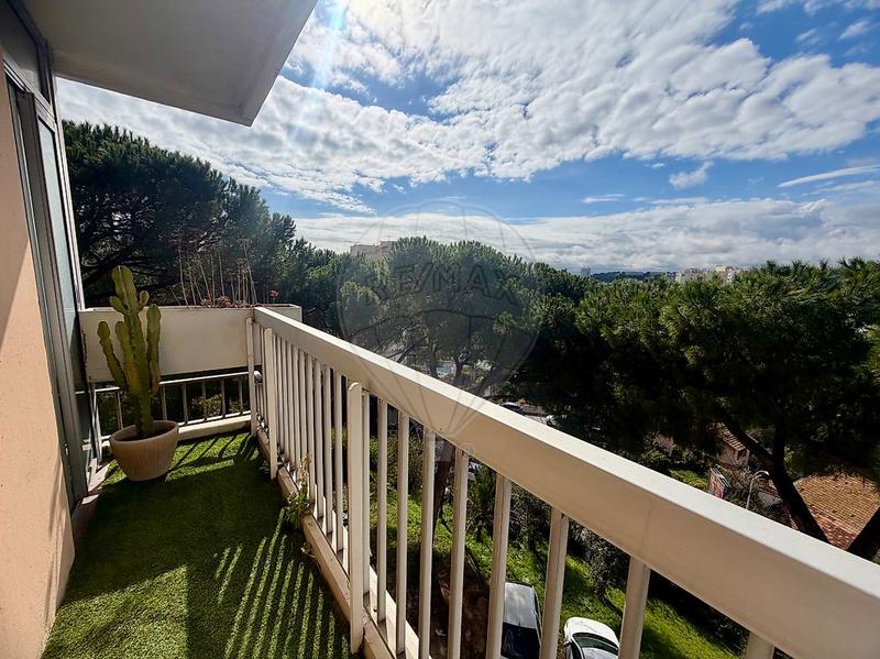 Studio - 36 m² - 1 pièce