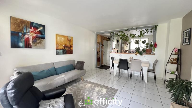 Appartement - 50 m² - 2 pièces