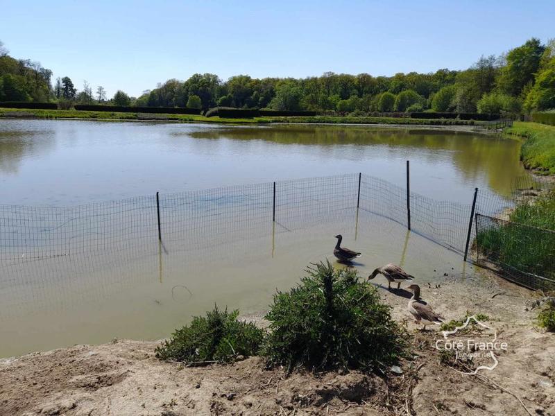 Terrain de loisirs - 15 912 m²