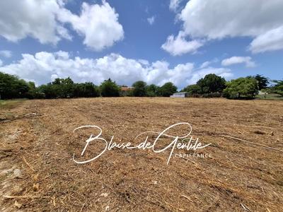 Terrain constructible - 6 000 m²