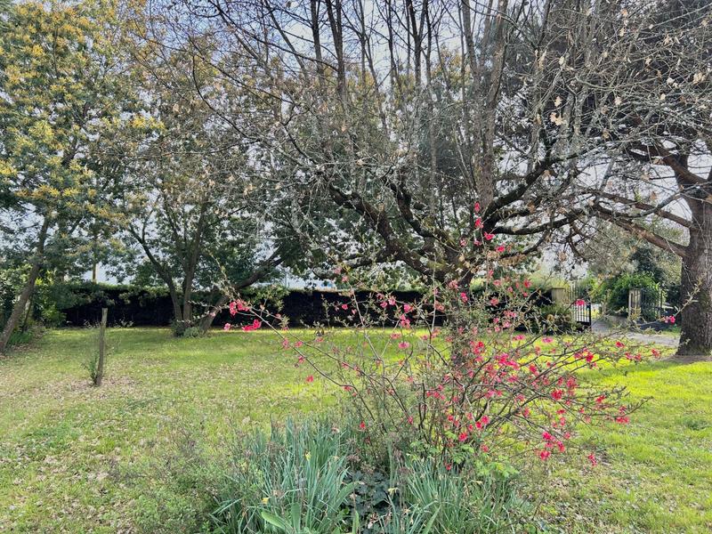 Viager - Maison traditionnelle - 101 m² - 5 pièces