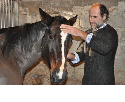 ostéopathe D.O, humain, équin, canin.