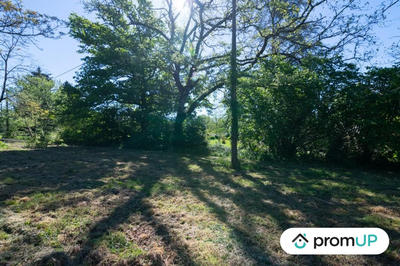 Terrain - 10 000 m²