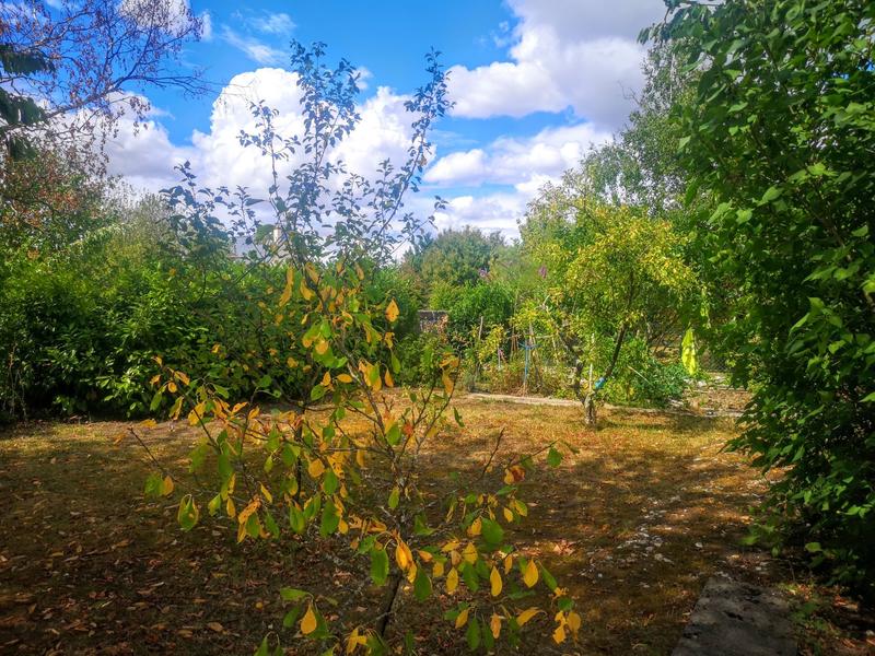 Viager - Maison - 84 m² - 4 pièces