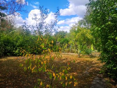 Viager - Maison - 84 m² - 4 pièces