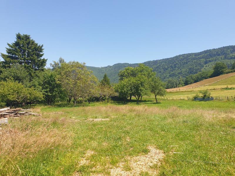 Terrain - 3 950 m²