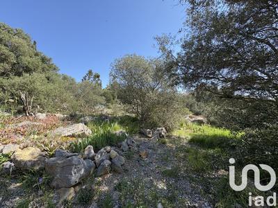 Terrain - 729 m²