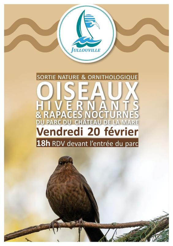 Sortie nature : oiseaux hivernants