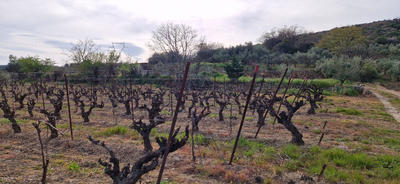 Terrain de loisirs - 20 600 m²