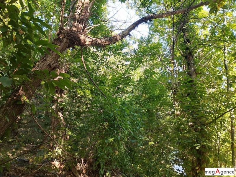 Terrain de loisirs - 4 671 m²