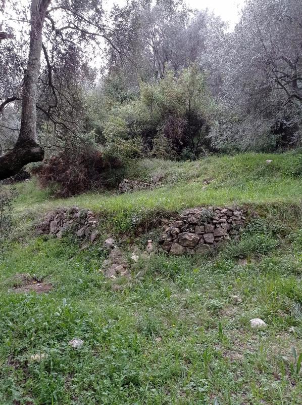 Terrain constructible - 1 500 m²