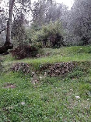 Terrain constructible - 1 500 m²