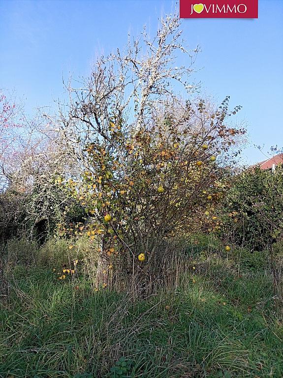 Maison - 194 m² - 12 pièces