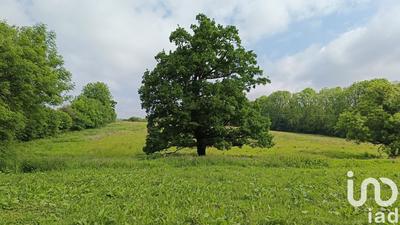 Maison - 327 m² - 11 pièces