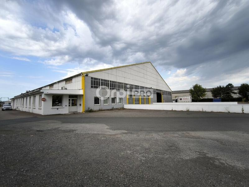 Local d'activité / Entrepôt - 3 060 m²