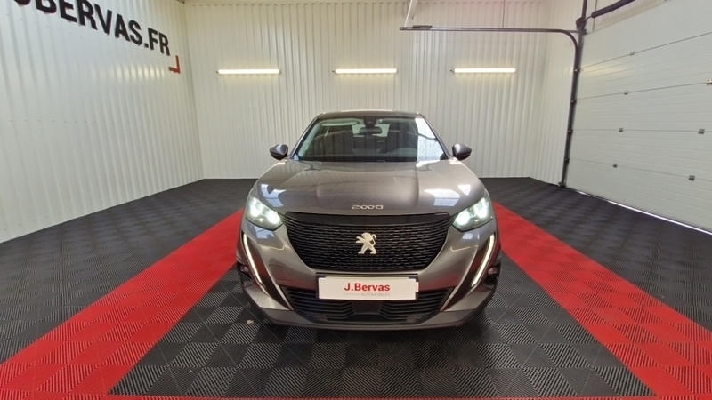 Peugeot 2008 Bluehdi 130 s&amp;amp;S Eat8 Active Business