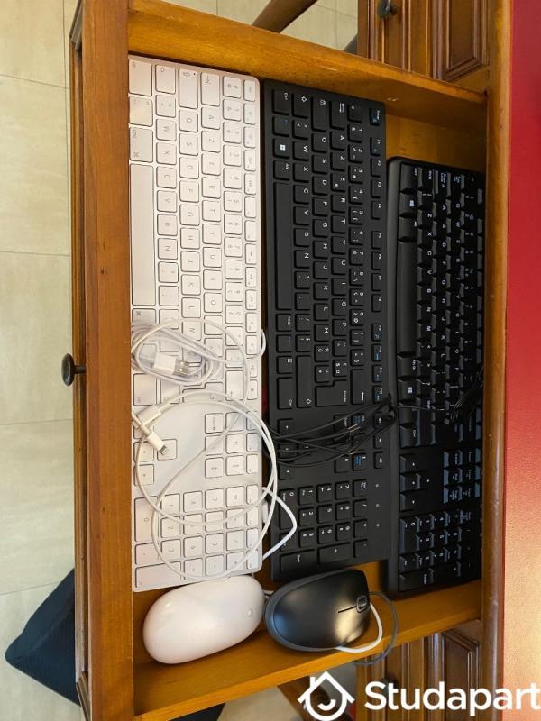 Chambre - 15 m² - 1 pièce