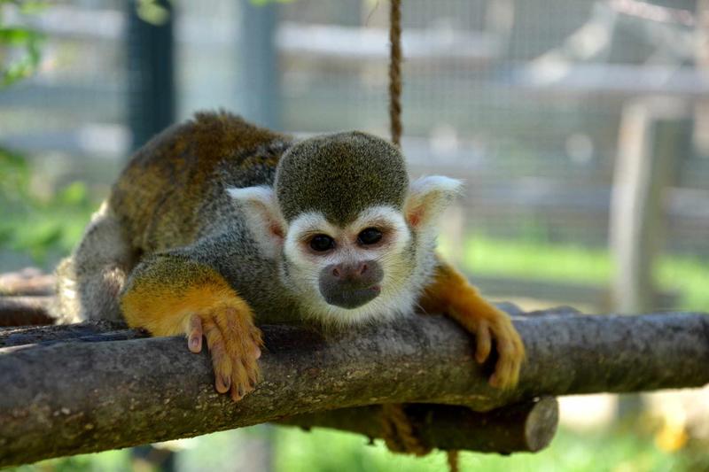 La Réserve Exotique