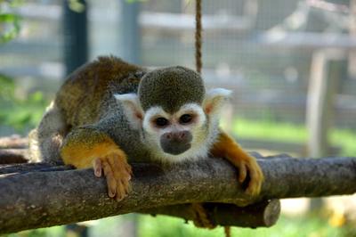 La Réserve Exotique