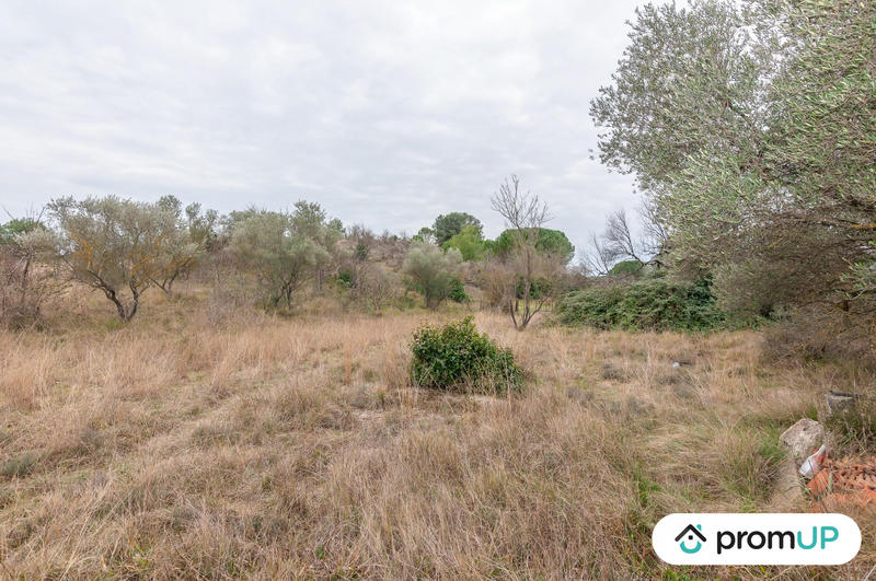 Terrain agricole - 10 601 m²