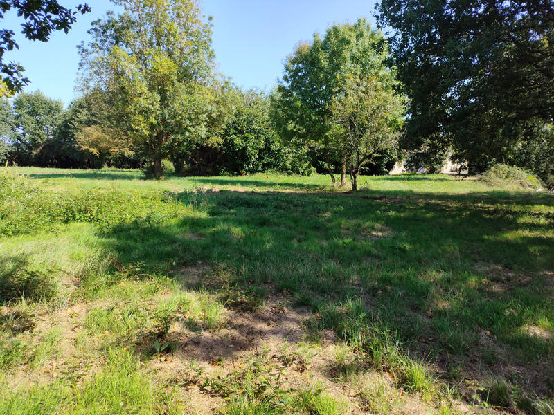 Terrain constructible - 1 161 m²