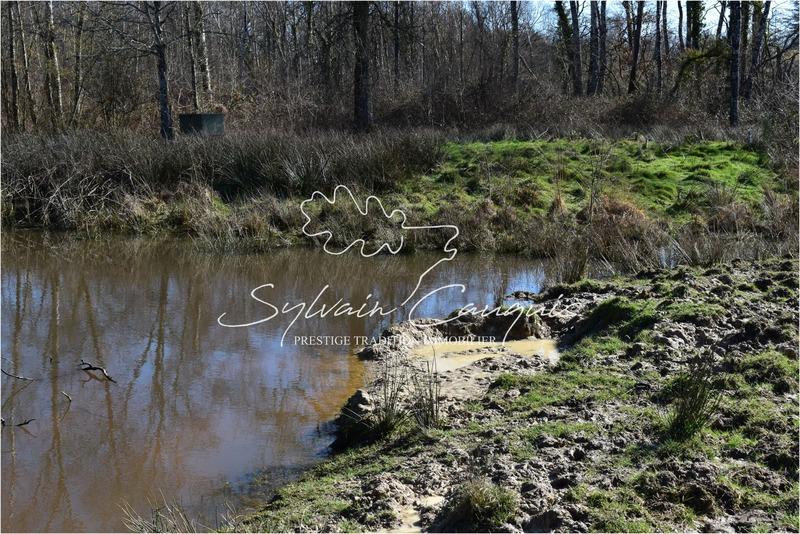 Propriété - 280 m² - 12 pièces