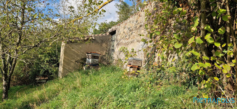 Maison ancienne - 132 m² - 7 pièces