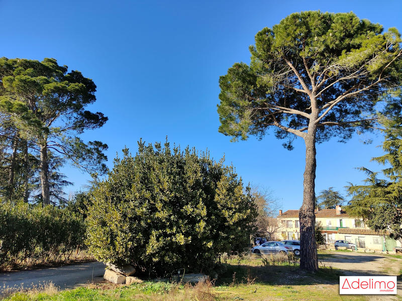 Mas - 1 582 m² - 15 pièces