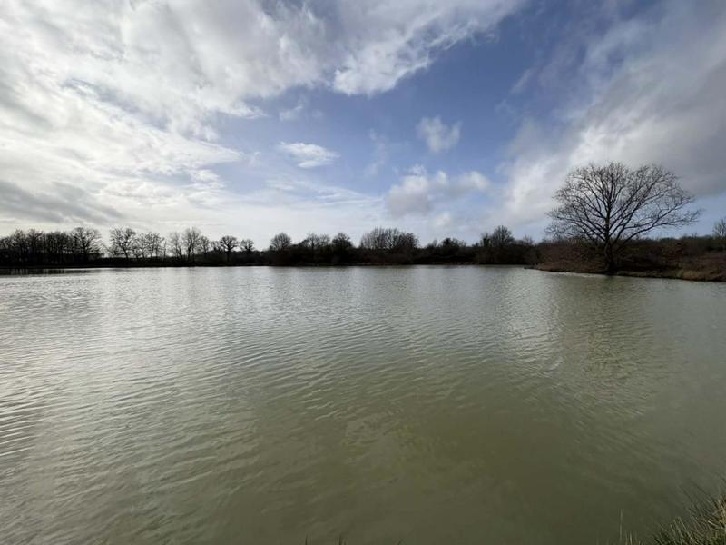 Étang - 123 995 m²