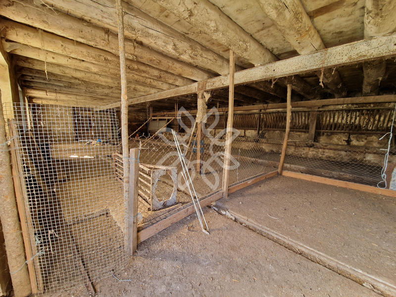 Propriété - 300 m² - 10 pièces