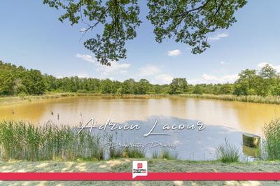 Étang - 25 600 m²