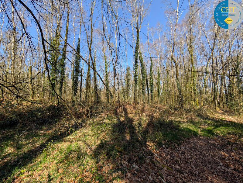 Terrain - 24 900 m²