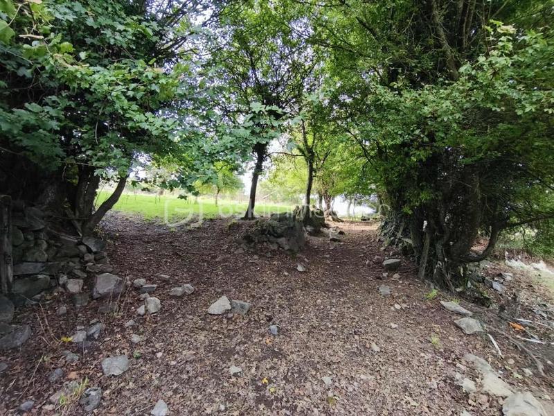 Maison en pierre - 244 m² - 10 pièces