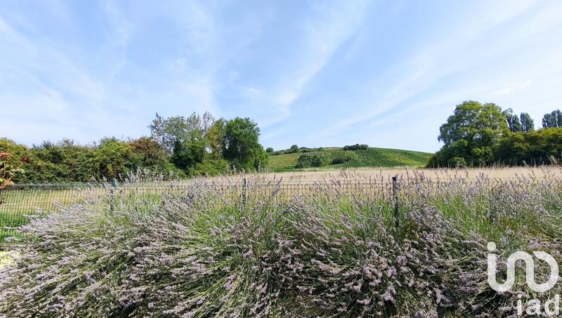 Maison de maîtres - 131 m² - 6 pièces