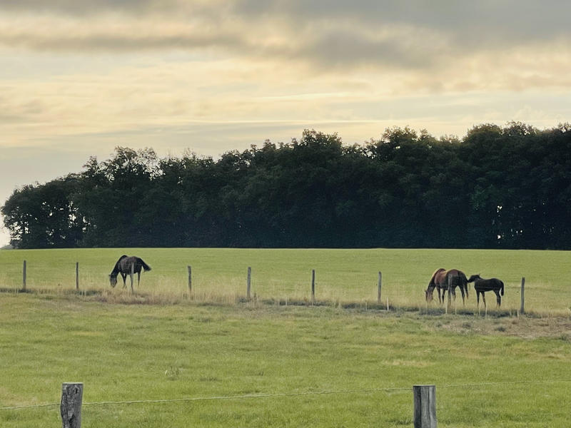 Maison - 106 m² - 4 pièces