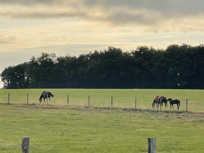 Maison - 106 m² - 4 pièces