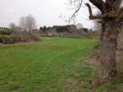 Terrain constructible - 1 720 m²