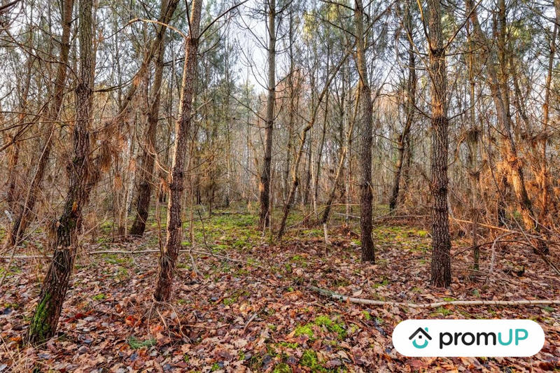 Terrain de loisirs - 1 595 m²