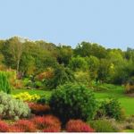 Parc Botanique de Rospico