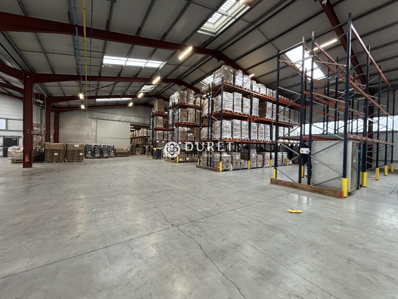 Local d'activités - 3 355 m²