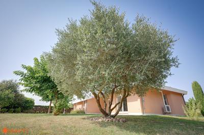 Maison - 111 m² - 5 pièces