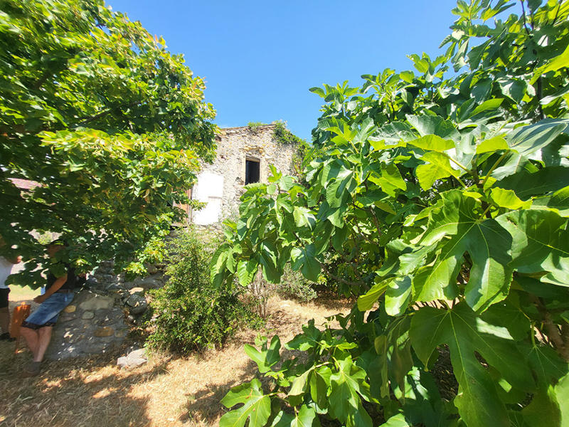 Maison - 60 m² - 2 pièces