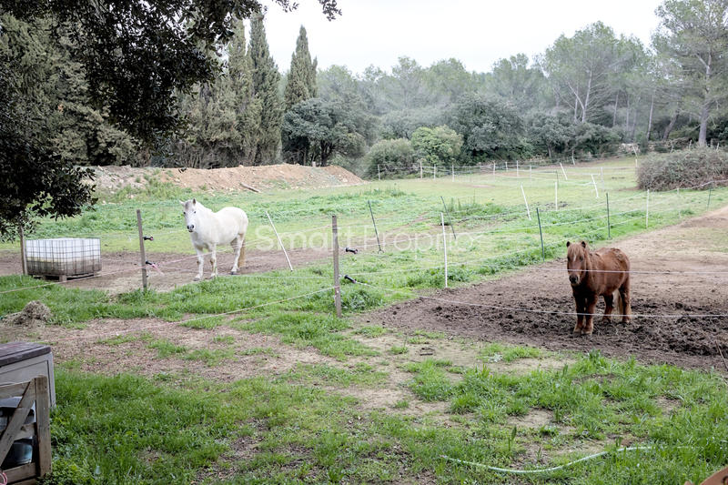 Propriété - 215 m² - 10 pièces