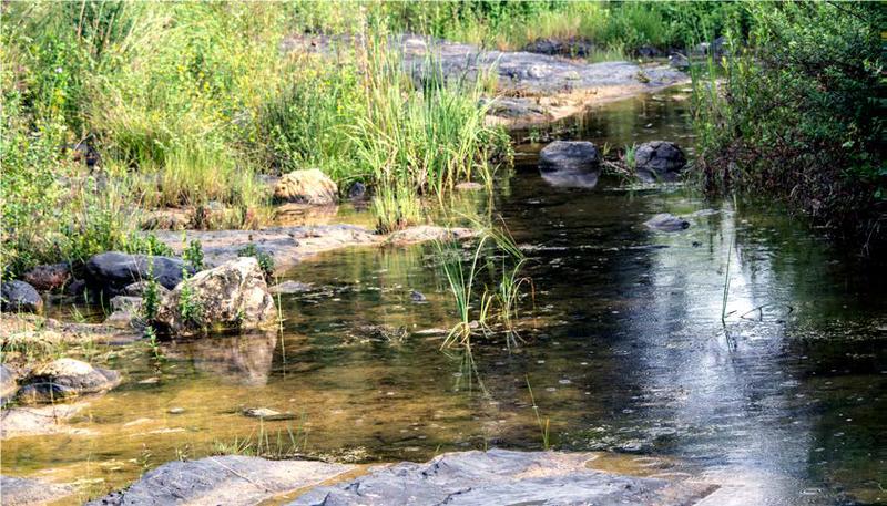 Exploration Sensible les Pieds Dans la Boyne #2