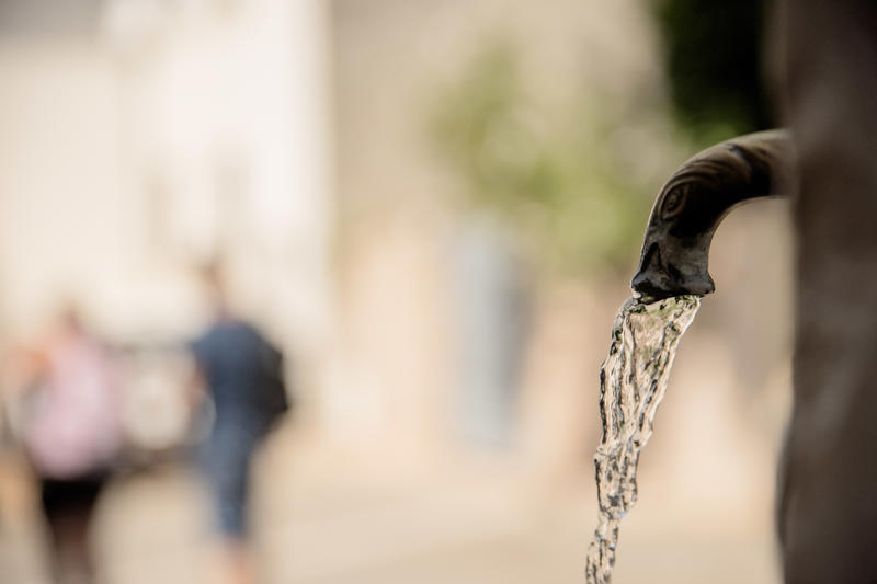 Marcel Pagnol d'Aubagne à la Treille- Circuit guidé urbain 1/2 journée