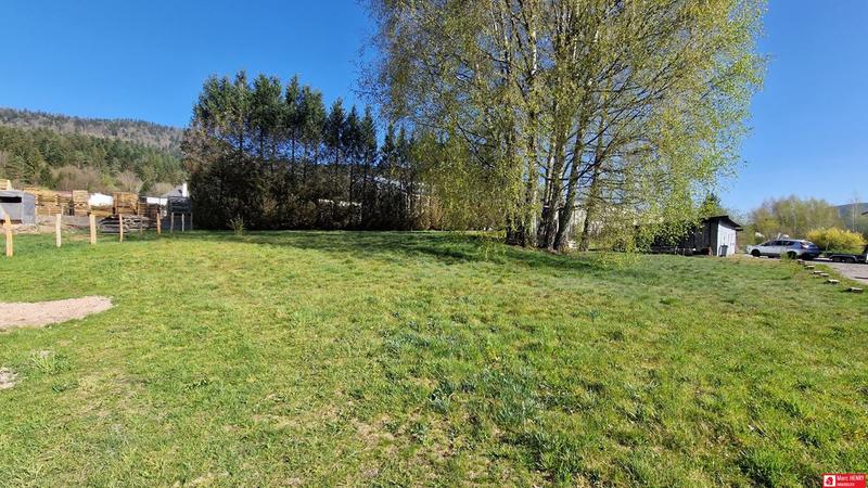 Terrain - 1 238 m²