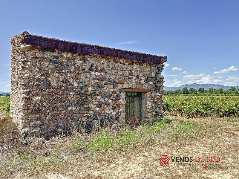 Propriété viticole - 1 pièce